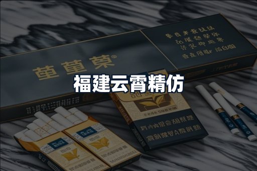 福建云霄精仿
